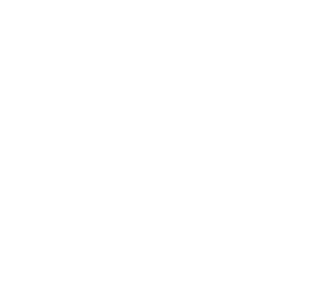 Fenice